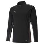 Puma Team Cup 1/4 Zip Top