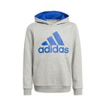 adidas Big Logo Hoody