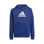 adidas Badge of Sports Hoody