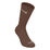 Everyday Plus Cushioned Socks