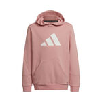 adidas Future Icons 3Bar Fleece Hoody