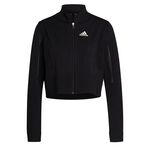 adidas Primeknit Jacket