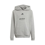 adidas All Season GFX Hoody