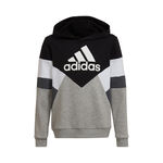 adidas Color Block Fleece Hoody