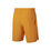 Court Flex Roger Federer Ace Short Boys