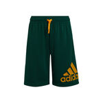 adidas Big Logo Shorts