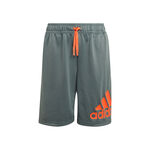 adidas Big Logo Shorts