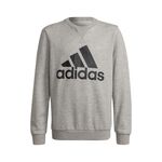 adidas Essential Big Logo Sweatshirt Boys