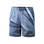 Nike Dry AOP Shorts
