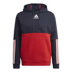 adidas Color Block Hoody