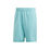 Parley Shorts Men