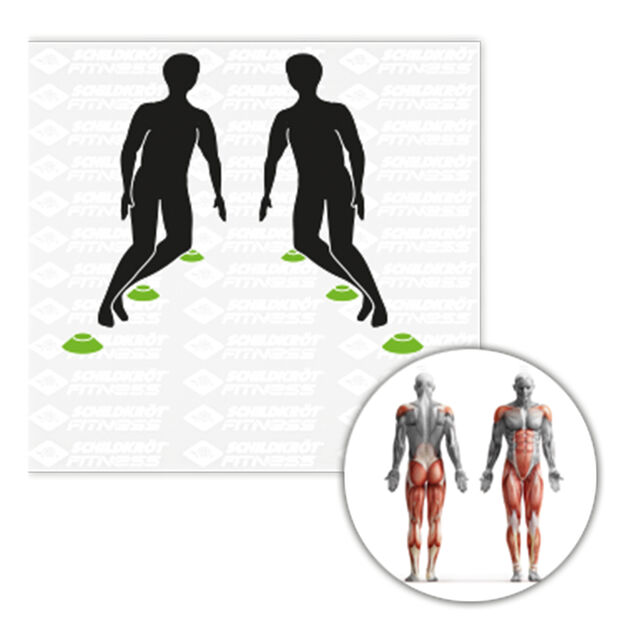 Schildkr&ouml;t Fitness